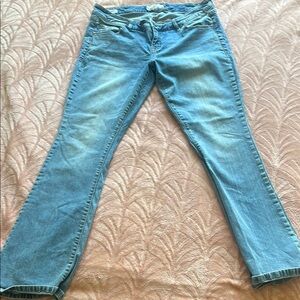 Torrid Blue Boot Cut Jeans Classic Style